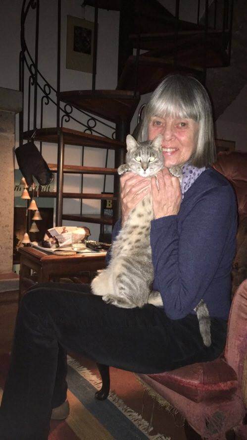 MOVING WITH CATS to a new home – by Ella Falgren